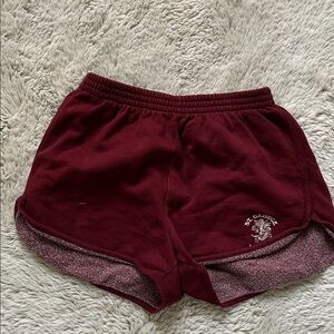 Brandy Melville Burgundy Shorts